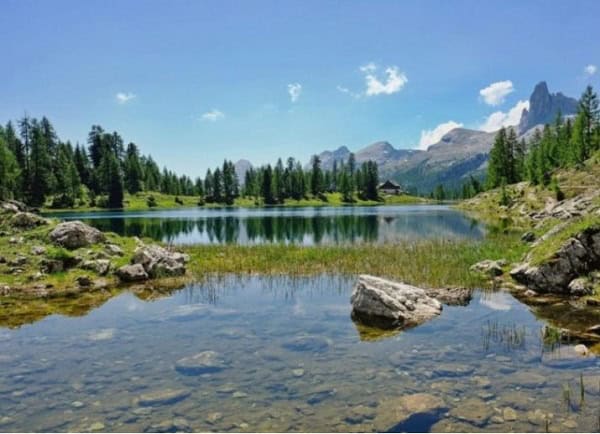 montana arboles verdes lago agua cristalina